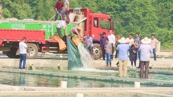 三都縣生態水產養殖企業正式投產 省財政廳駐村工作隊助力產業振興